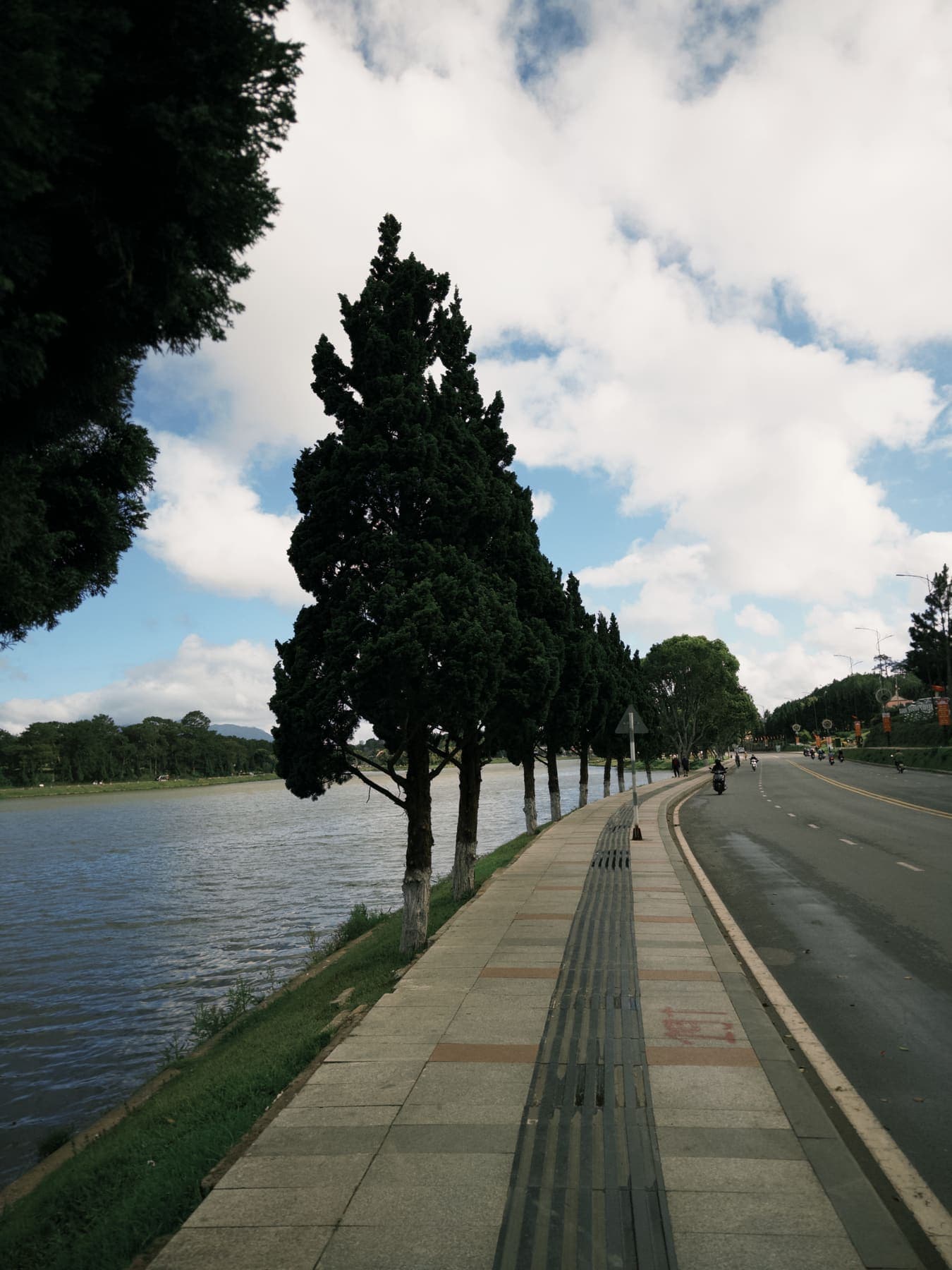 A lakeside walkway lined with cypress trees beside a road