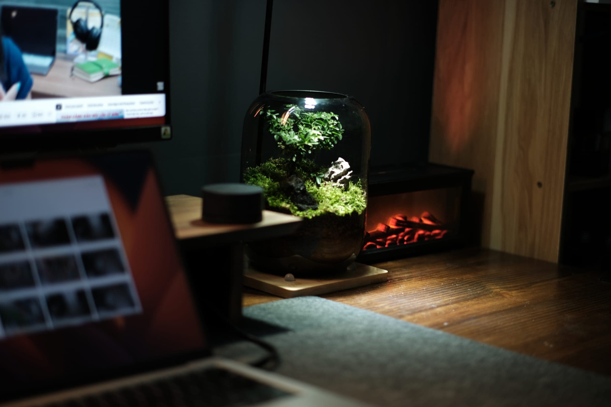 A moss terrarium under a desk lamp, next to a monitor and a small fireplace